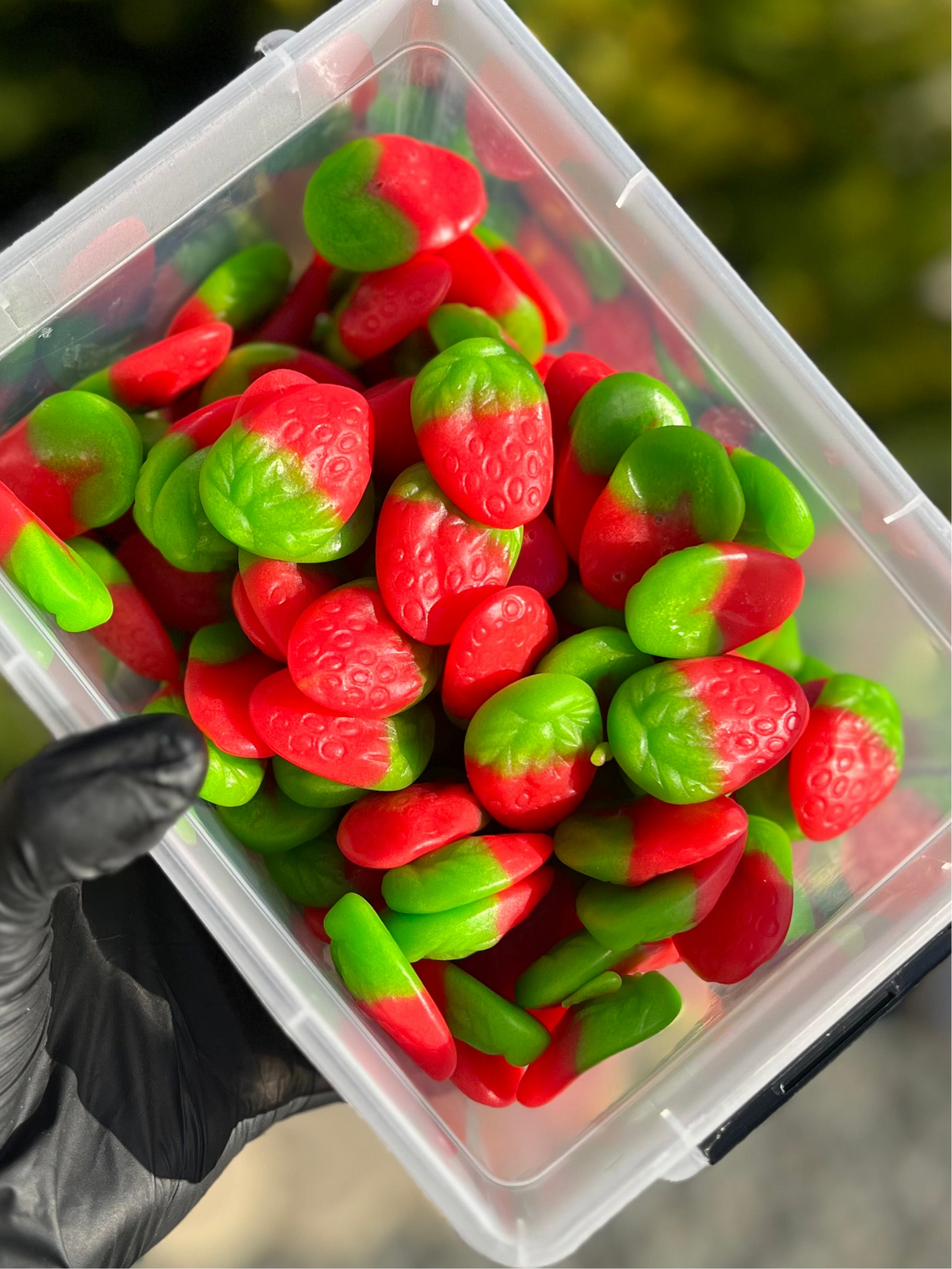 Bonbons Halal