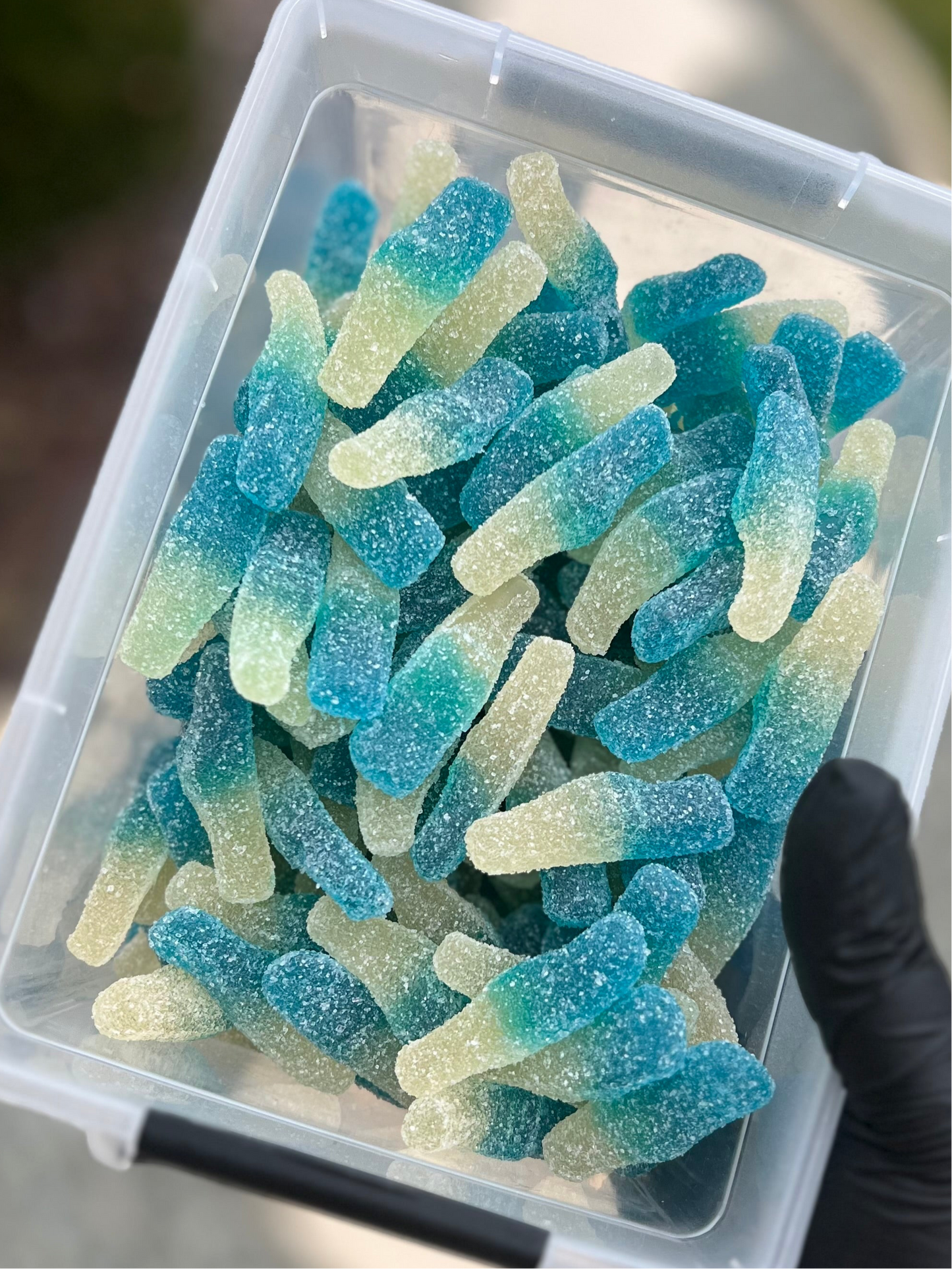 Bonbons Halal