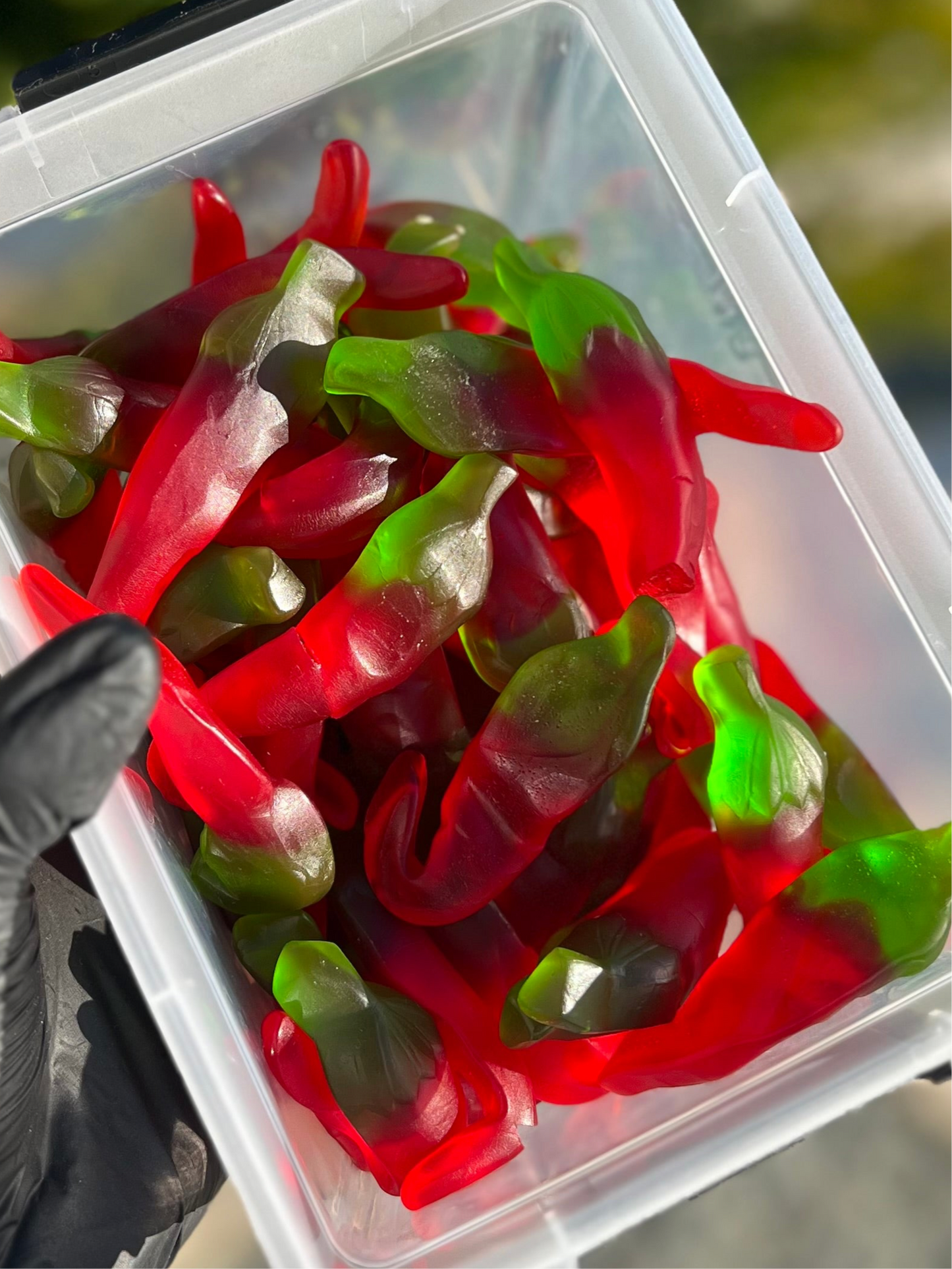 Bonbons Halal
