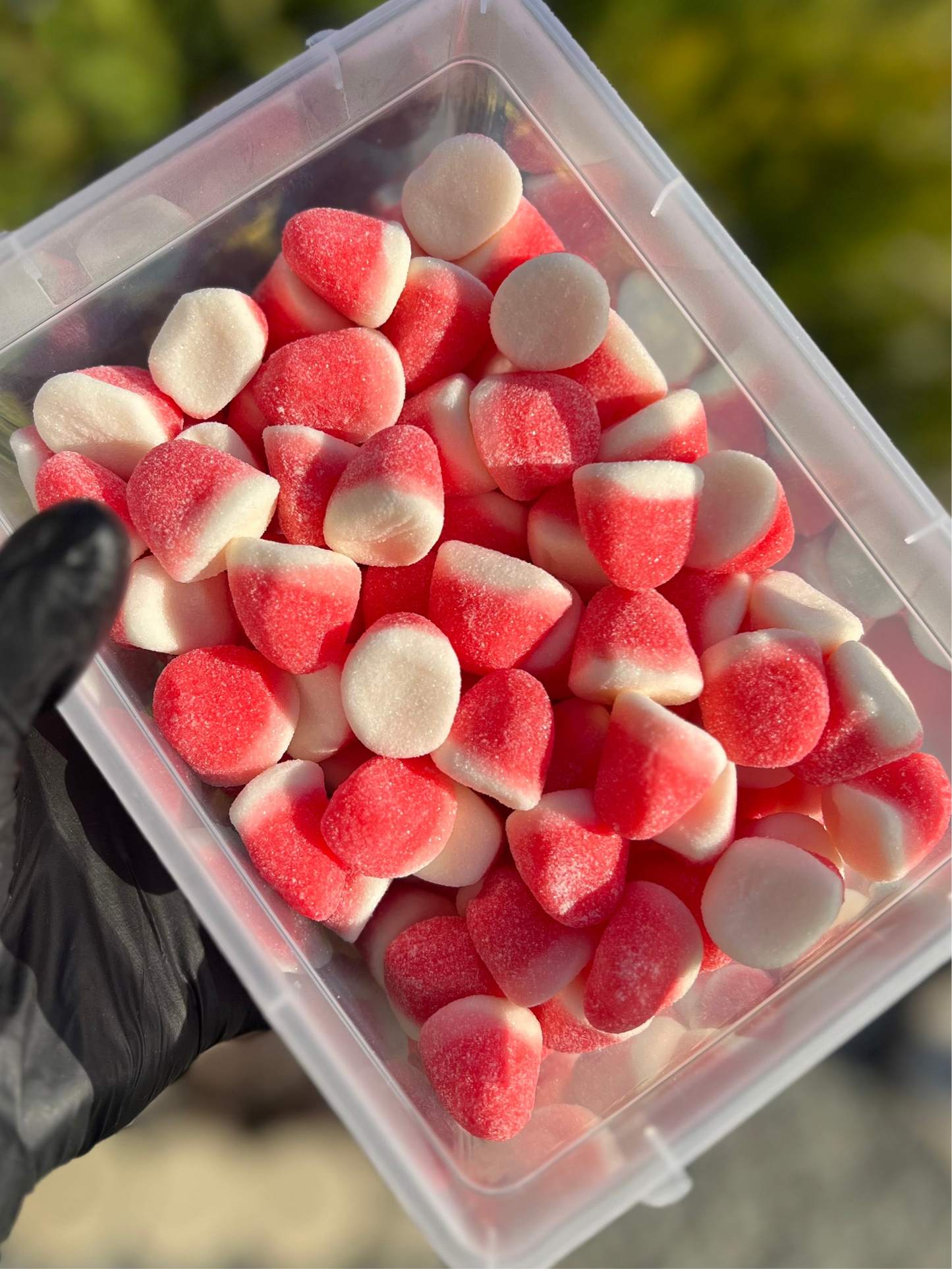 Bonbons Halal