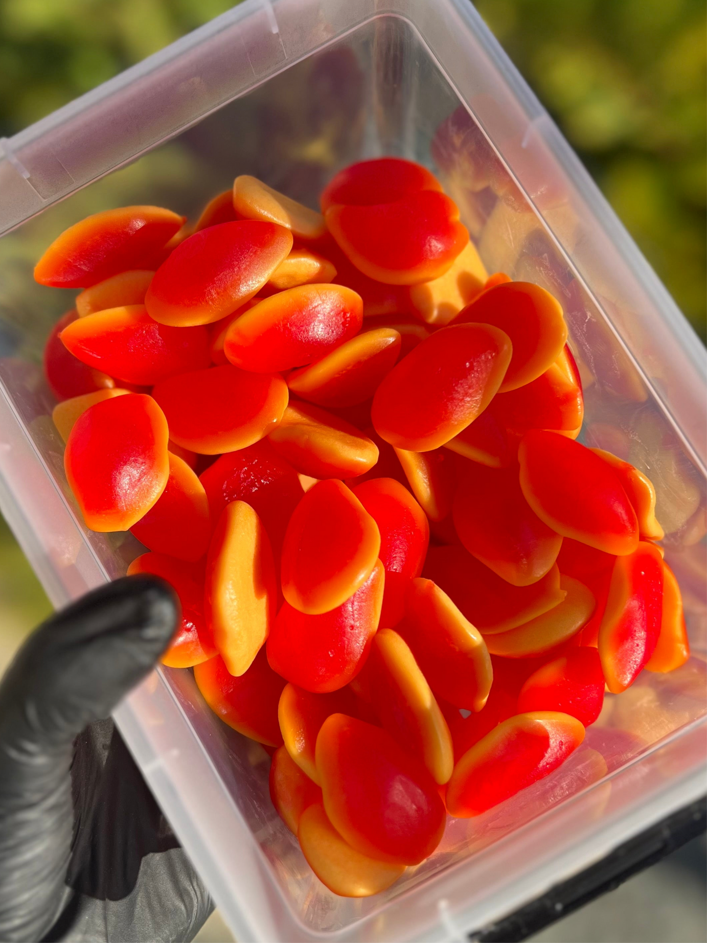Bonbons Halal