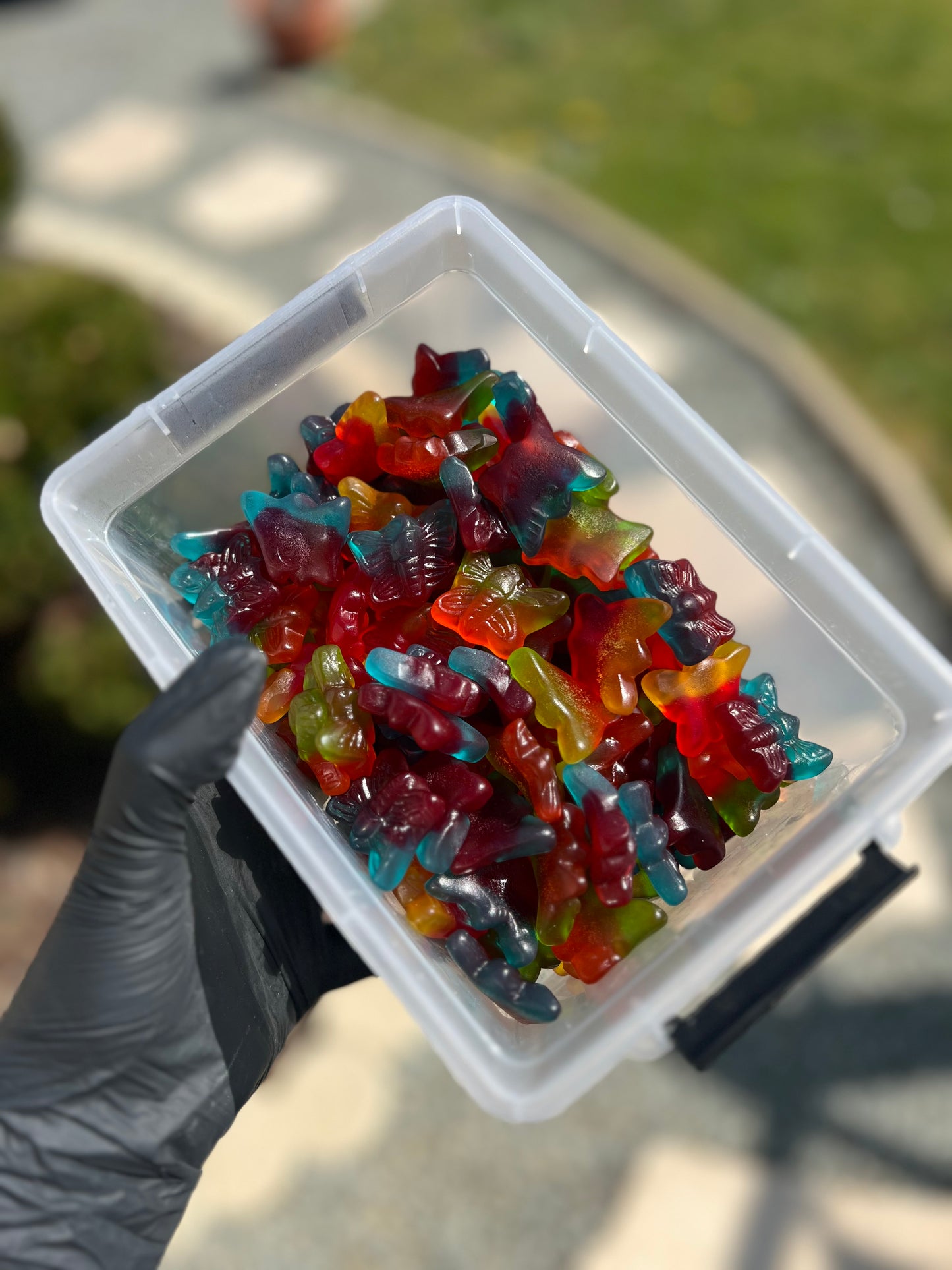 Bonbons Halal