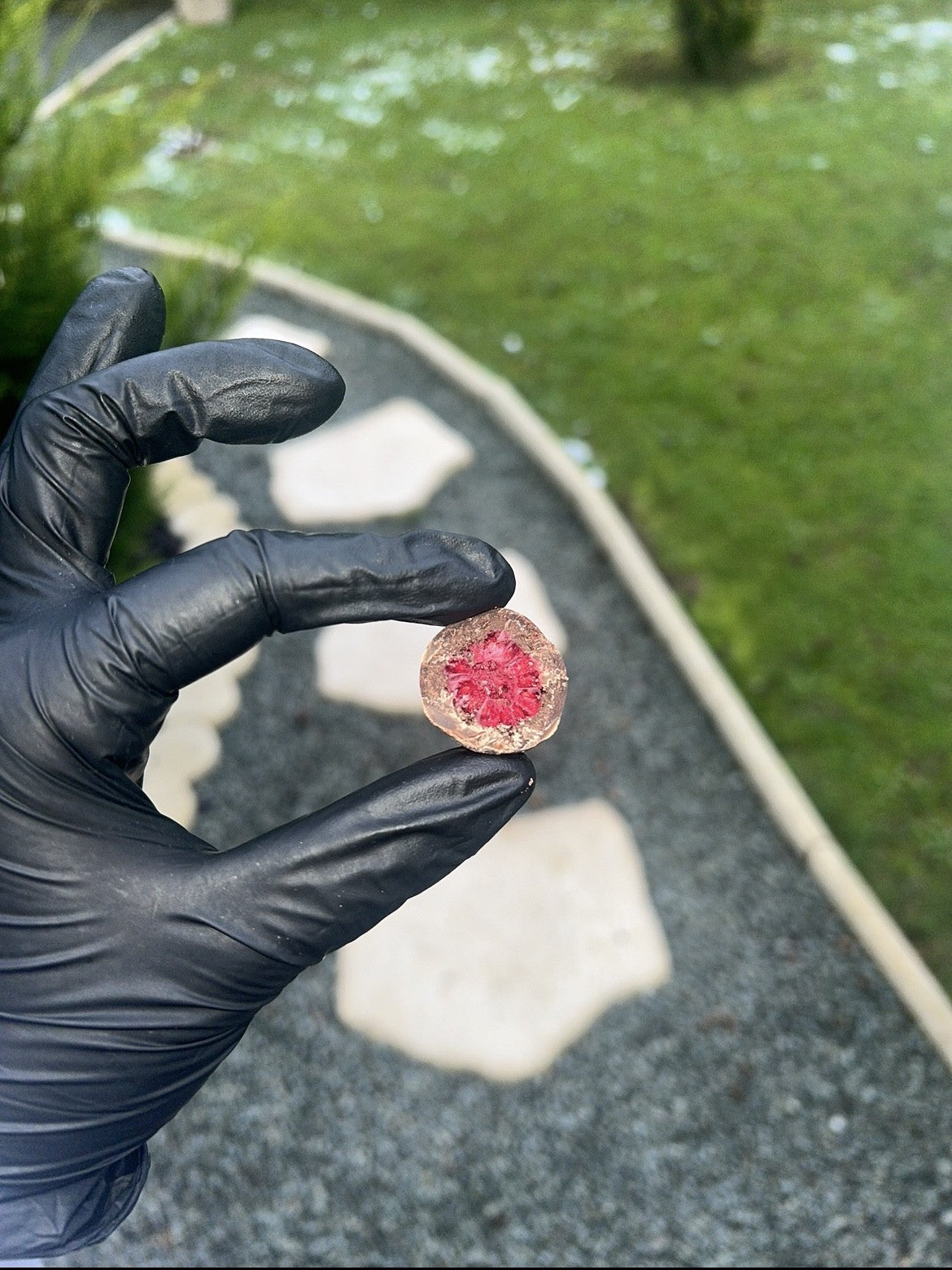 Framboises et Fraises Lyophilisées Enrobées de Chocolat : La Sensation Gourmande de Dubaï