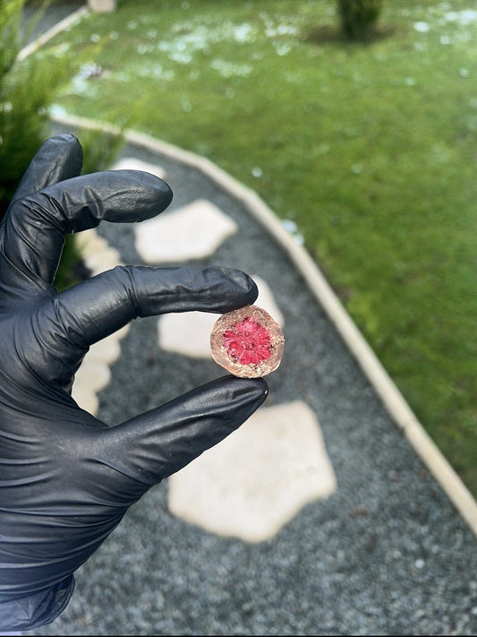 Framboises et Fraises Lyophilisées Enrobées de Chocolat : La Sensation Gourmande de Dubaï